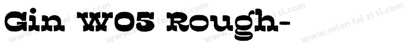 Gin W05 Rough字体转换